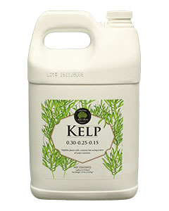 (03) Micro Nutrients