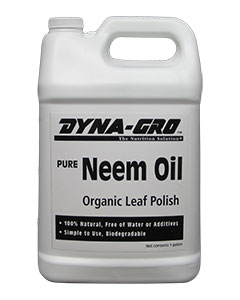 Leaf Polish &amp; Washes